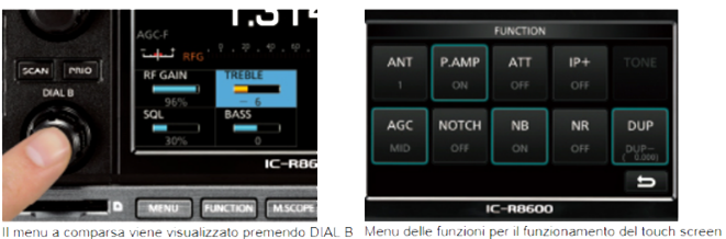 ic r8600 display 1