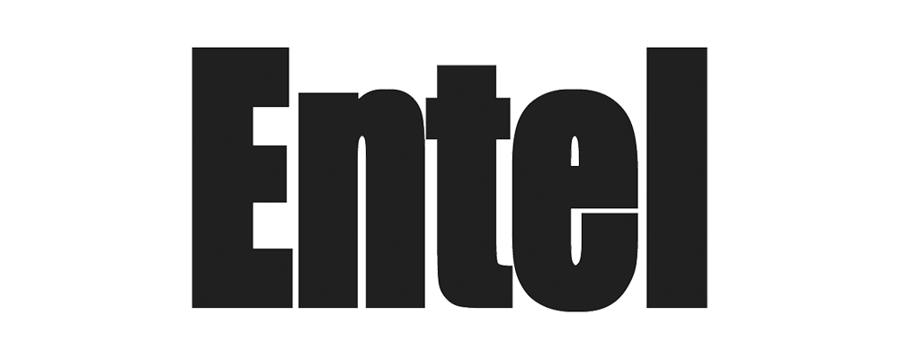 Chi Siamo 5 logo entel